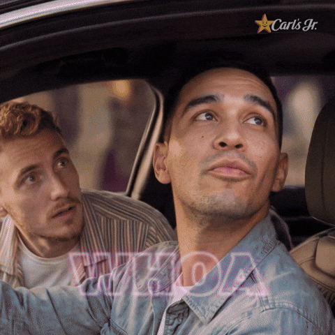 Burgers Wow GIF by Carl's Jr.