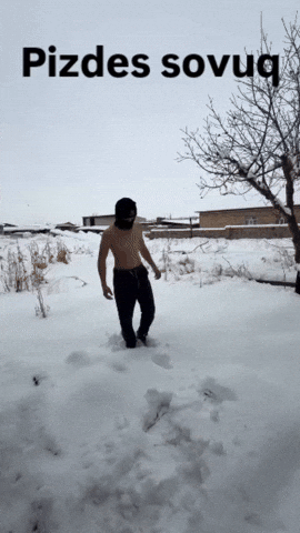 Pizdes GIF