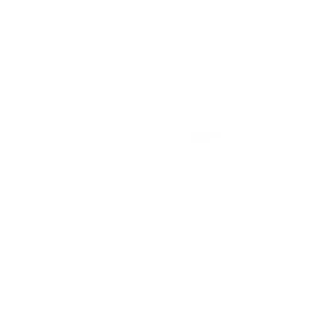 WiderView Sticker