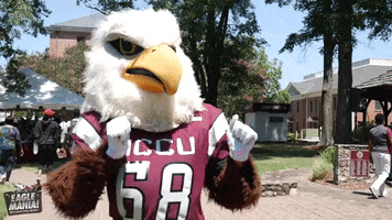 Students Eagles GIF by NCCU