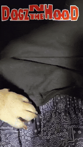 Kibblestreetfrenchies GIF by Miamiregalblues