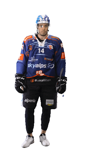 Ice Hockey Sport Sticker by Rittner Buam