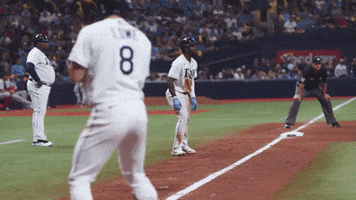 Tampa Bay Running GIF by MLB