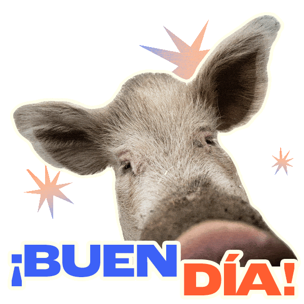 Buen Dia Vegan Sticker by Mercy For Animals Latinoamérica