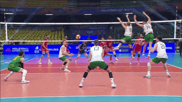 Lying Go For It GIF by Volleyball World