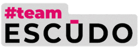 Team Time Sticker by Sistema Escudo