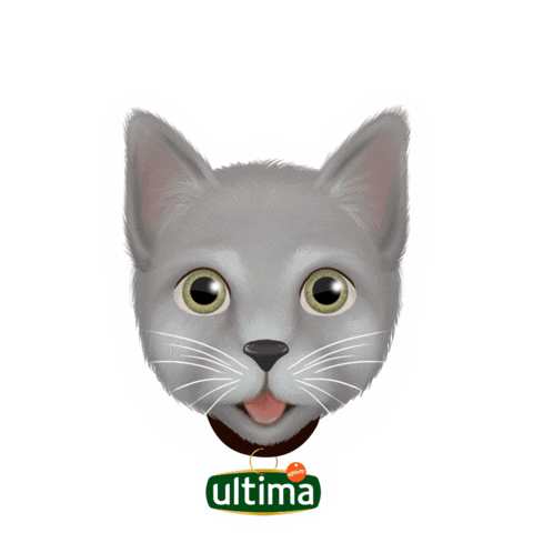 Cat Sticker by Affinity