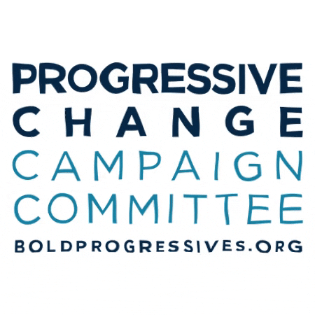 boldprogressive vote democrat progress progressive GIF