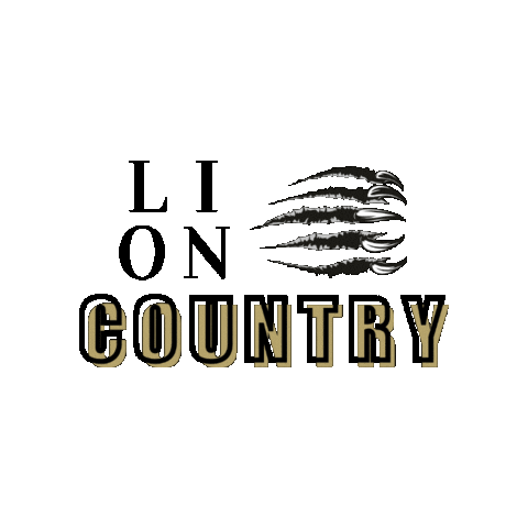 Black And Gold Country Sticker by Lindenwood University