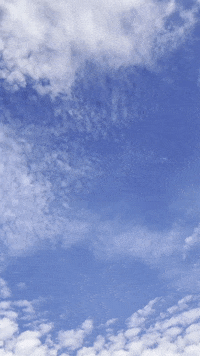 Nature-background GIFs - Get the best GIF on GIPHY