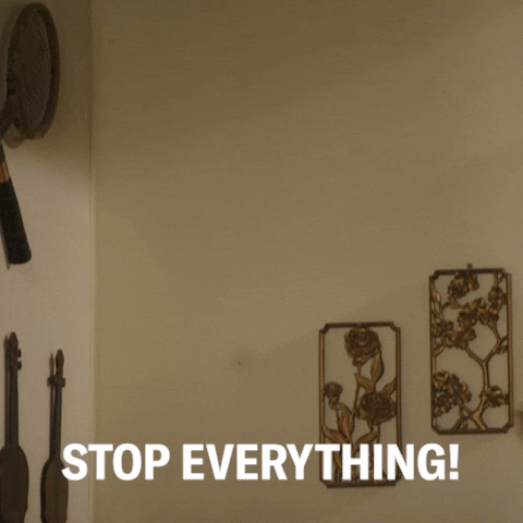 giphy.gif?cid=6c09b952wmsl5qs22qg4llx1y7