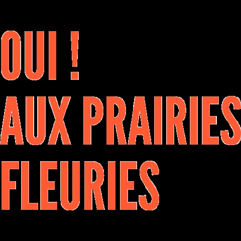 La Ruche qui dit Oui ! GIF