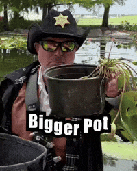 Water Lily GIF