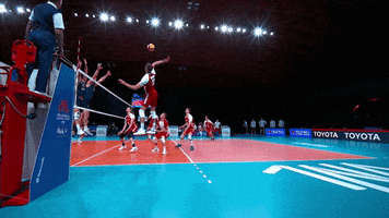 Shall Not Pass Get Ready GIF by Volleyball World