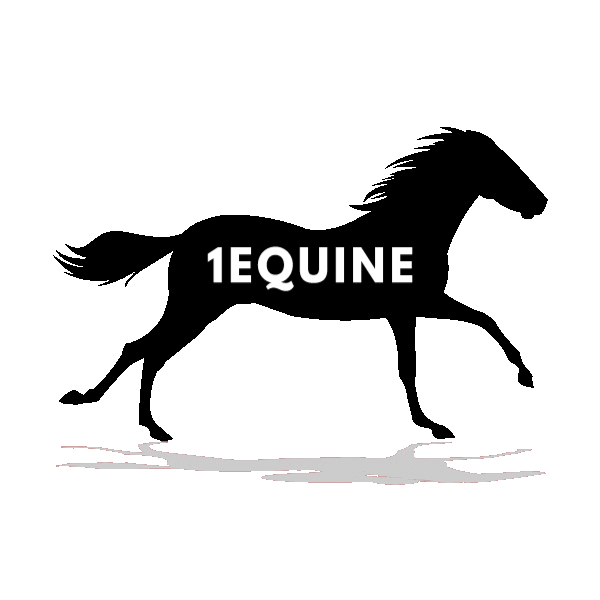 1Equine Horse Supplements Sticker