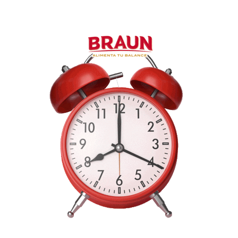 BraunEc Sticker