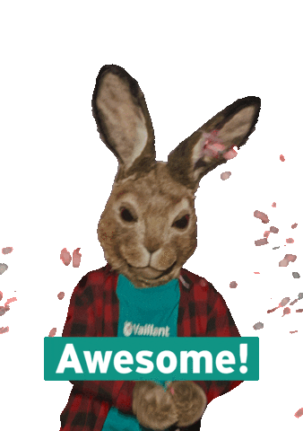 Vaillant Hare GIFs on GIPHY - Be Animated