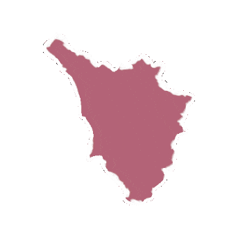 Sticker by Casa Sola