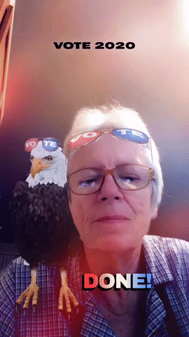 Vote GIF
