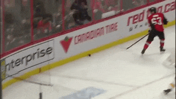 Nhl GIF