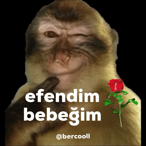 Efendim Bebegim GIF