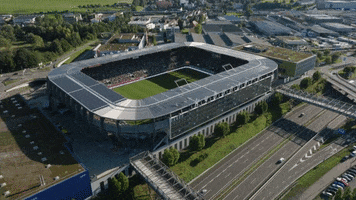 Fans Stadium GIF by FC St.Gallen 1879