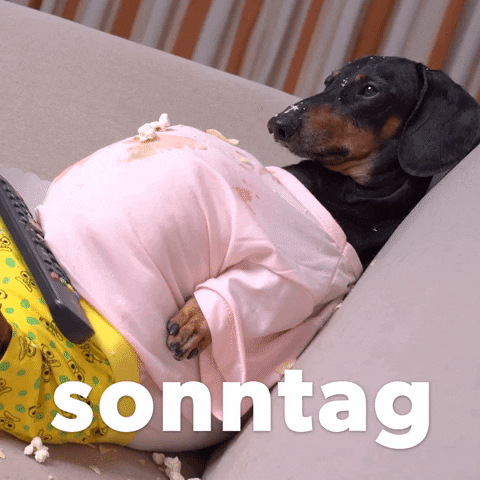 German Sonntag GIF by Sealed With A GIF