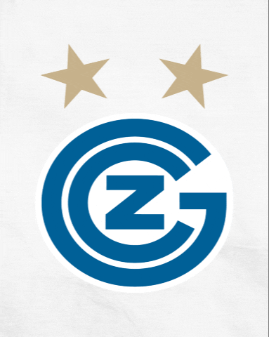Club Zurich GIF by GCZ