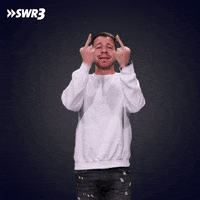 Finger Fuck You GIF by SWR3