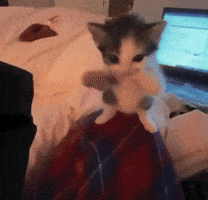 Jk Jm GIF