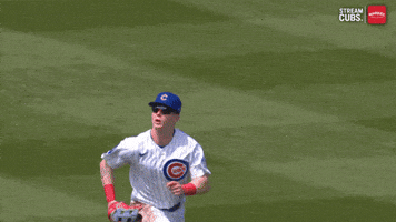 Chicago Cubs Wow GIF