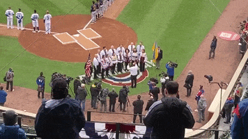 Chicago Cubs Mlb GIF by Storyful