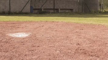 Slide Flop GIF by Black Rickers Baseball Softball Club