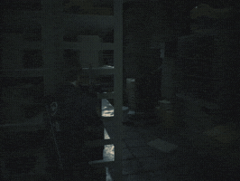 Resident Evil Leon Kennedy GIF