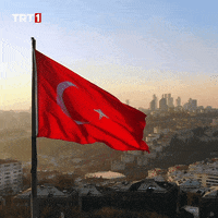 19 Mayıs Turkey GIF by TRT