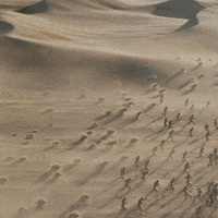 Fight Film GIF by Dune Movie