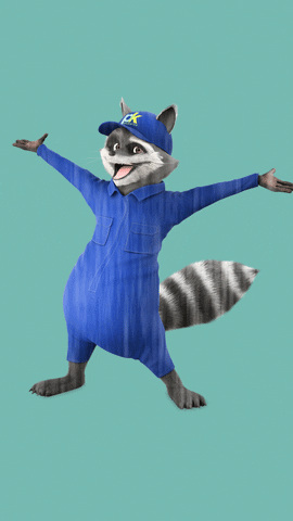Racoon GIF by PK Produkter