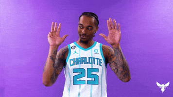 Pj Washington Basketball GIF by Charlotte Hornets