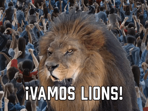 Lion-pride GIFs - Get the best GIF on GIPHY