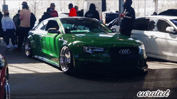 S5 Audi GIF by Curated Stance Club!