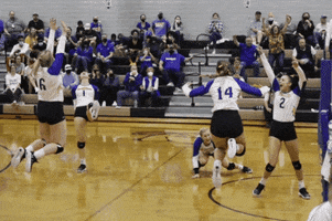 Mcneese Sports GIF by McNeese Athletics