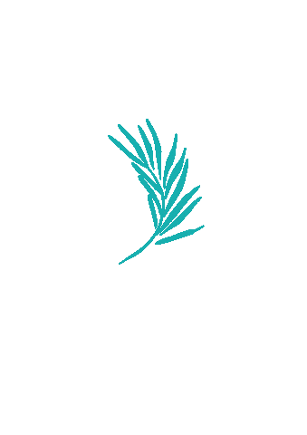 Plant Leaves Sticker