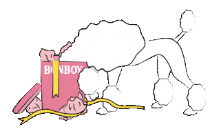 Bonboy Sticker