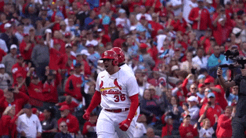 St Louis Cardinals Sport GIF by MLB