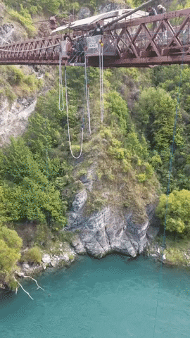 New Zealand GIF