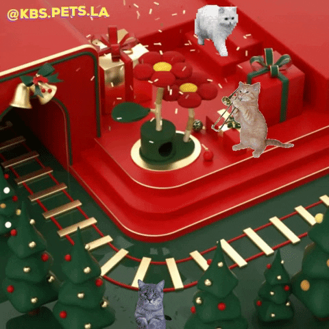 Cat Christmas GIF by KBSPETS