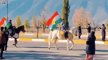 Horse Flag GIF