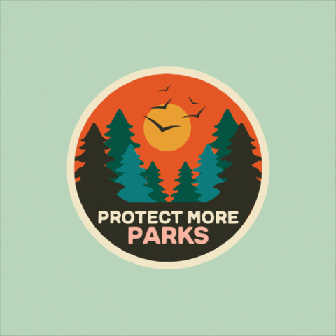 Digital art gif. Large sticker lifts one edge and puts it back down on an blue background; the sticker shows an image of a thick pine tree forest against an orange sunny sky with the text "Protect more parks."