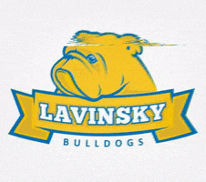 LAVINSKY BULLS GIF