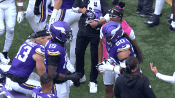 Celebration Nfl GIF by Minnesota Vikings